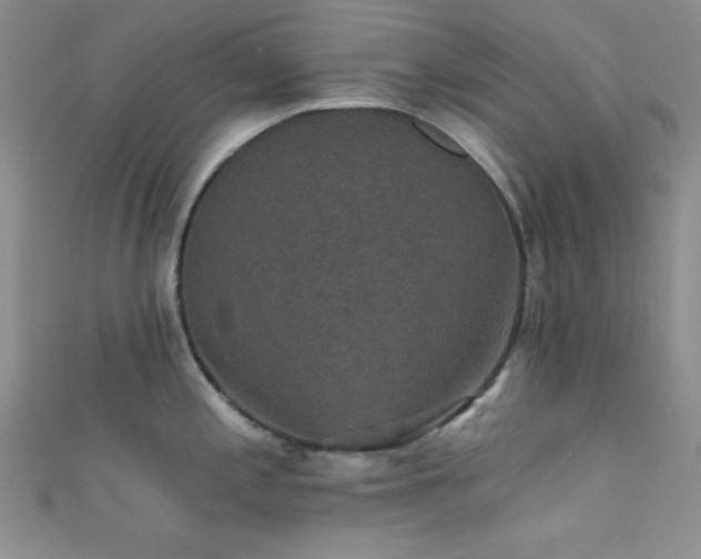 X0000111421197200907131156