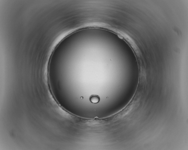 X0000111421199200907131156
