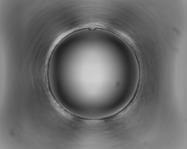 X0000111421200200907131156