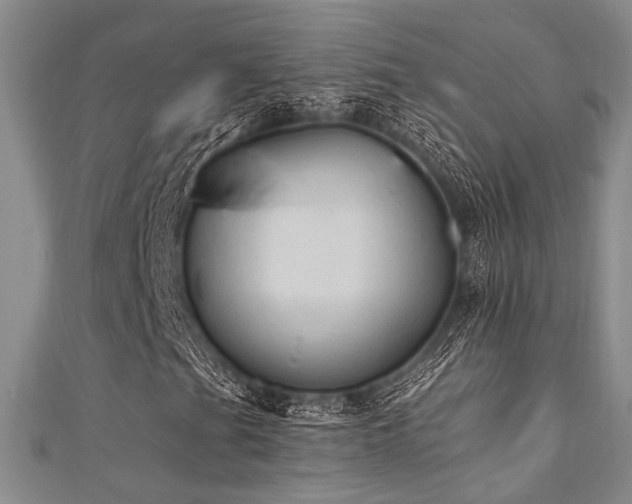 X0000111421201200907131155