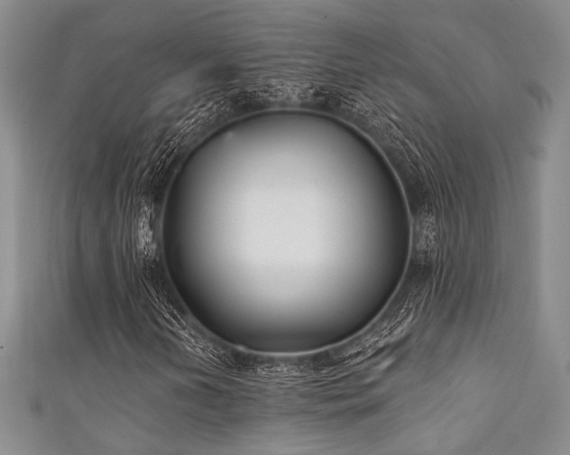 X0000111421202200907131155