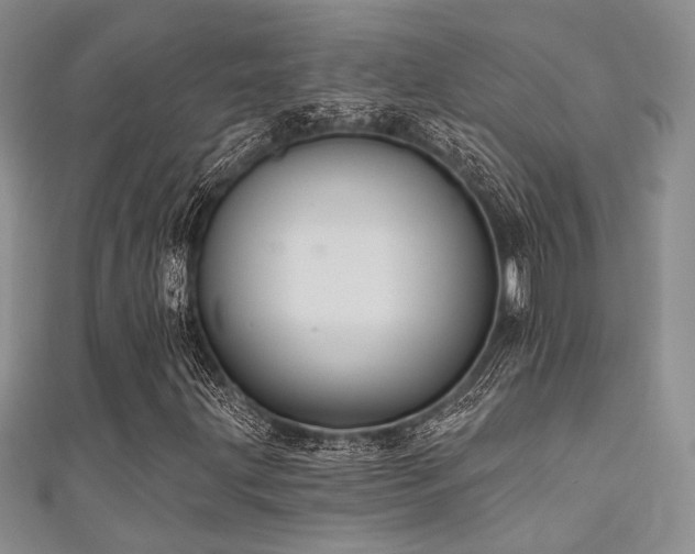 X0000111421203200907131155