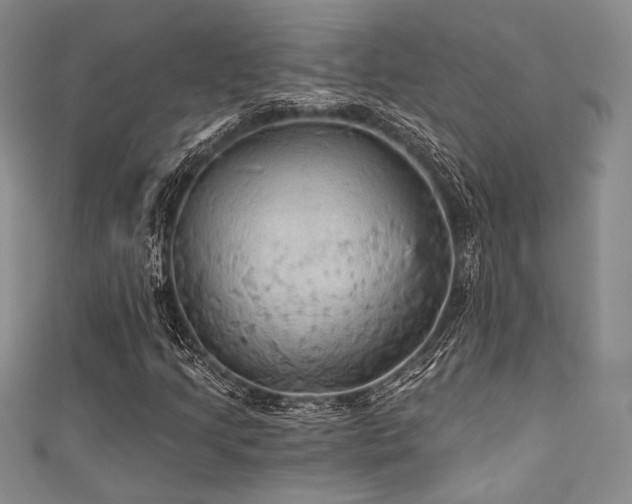 X0000111421205200907131155