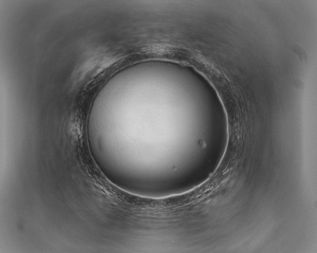 X0000111421206200907131155