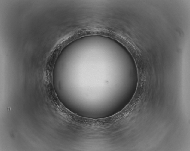 X0000111421207200907131155