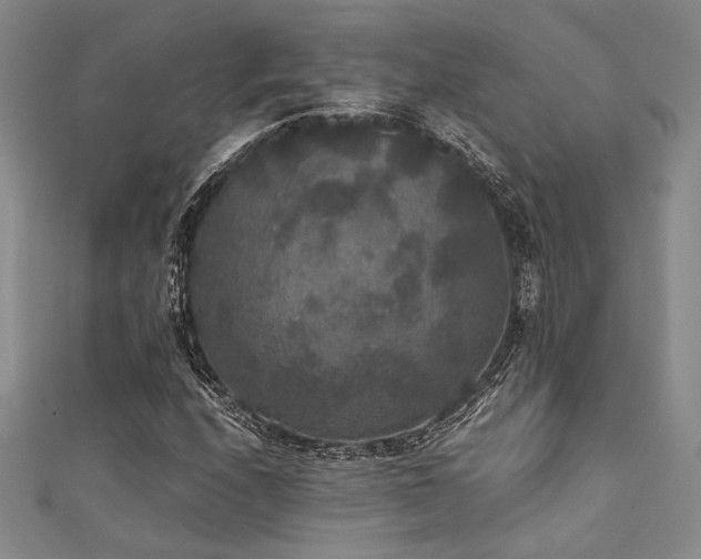 X0000111421208200907131155