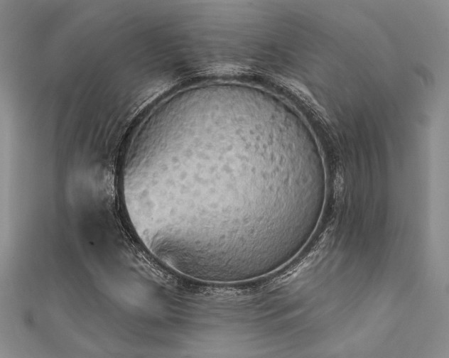 X0000111421209200907131155
