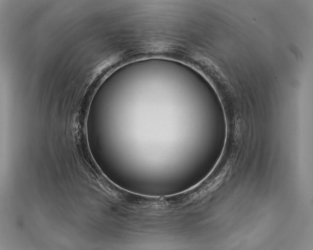 X0000111421210200907131155