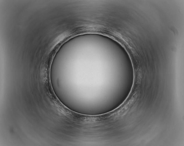 X0000111421211200907131155