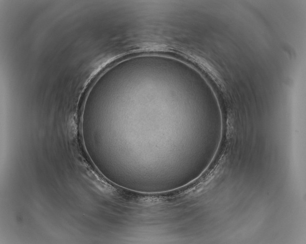 X0000111421212200907131155