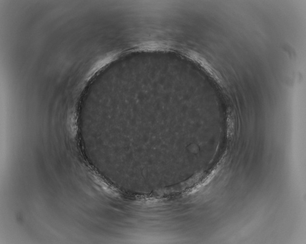 X0000111421213200907131155