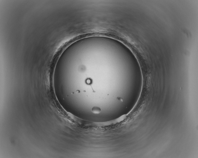 X0000111421214200907131155