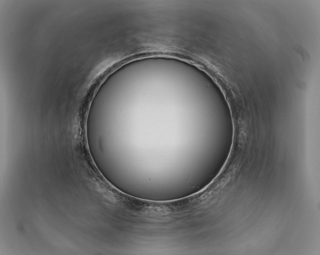X0000111421215200907131155