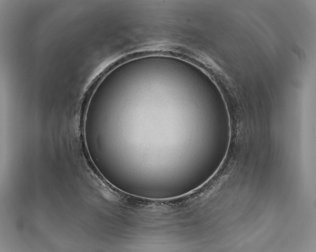 X0000111421216200907131155