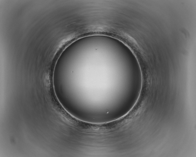 X0000111421218200907131155