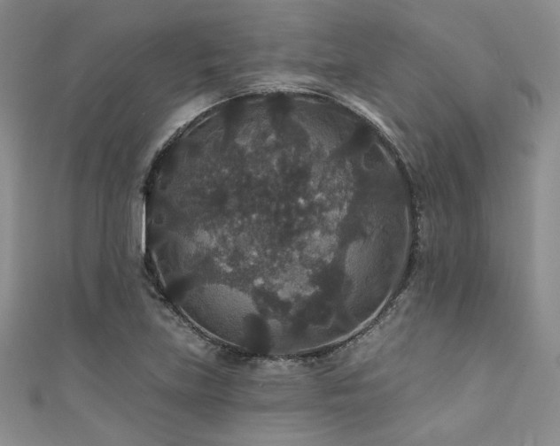 X0000111421219200907131155