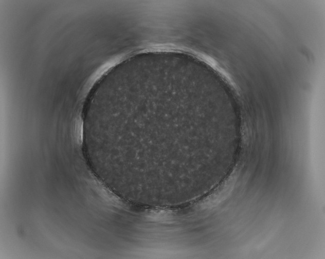 X0000111421221200907131155