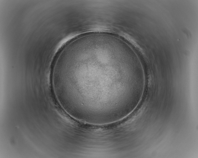 X0000111421222200907131155