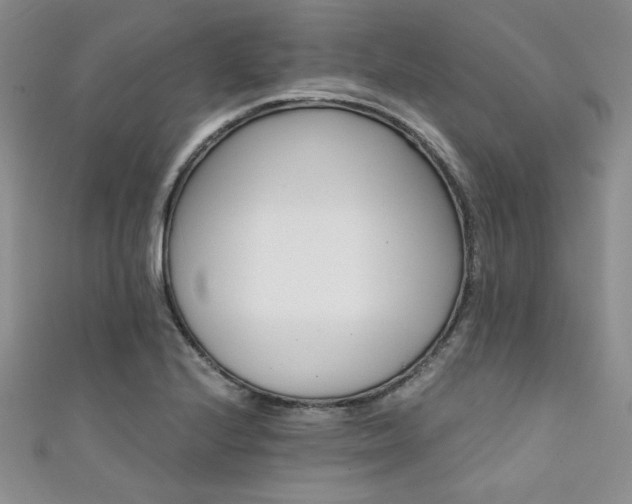 X0000111421224200907131155