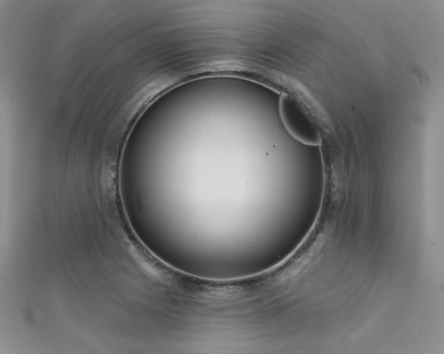 X0000111421225200907131155