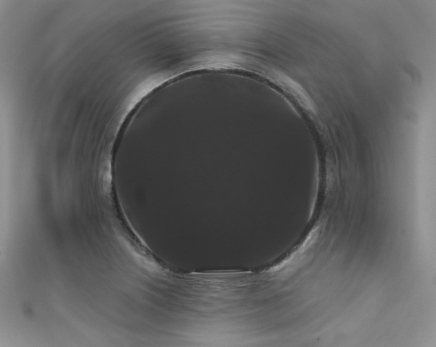 X0000111421226200907131155