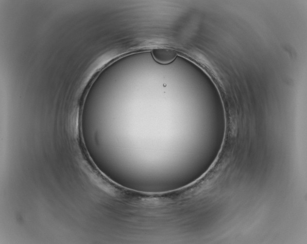 X0000111421227200907131155
