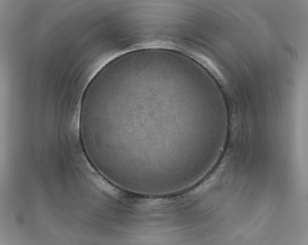 X0000111421228200907131155