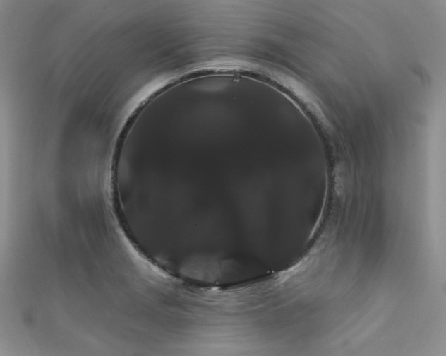 X0000111421229200907131155