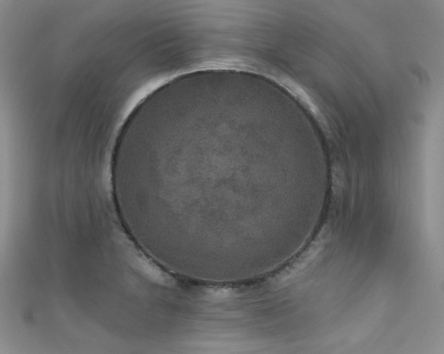 X0000111421230200907131155