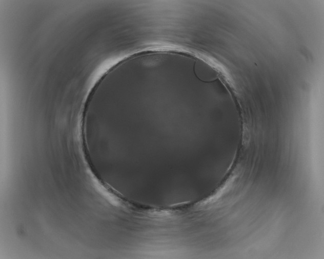 X0000111421231200907131155