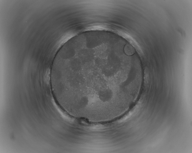 X0000111421233200907131155