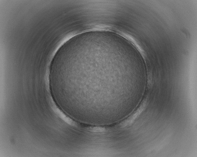 X0000111421235200907131155
