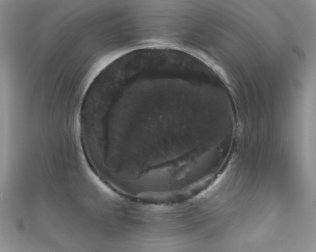 X0000111421239200907131155