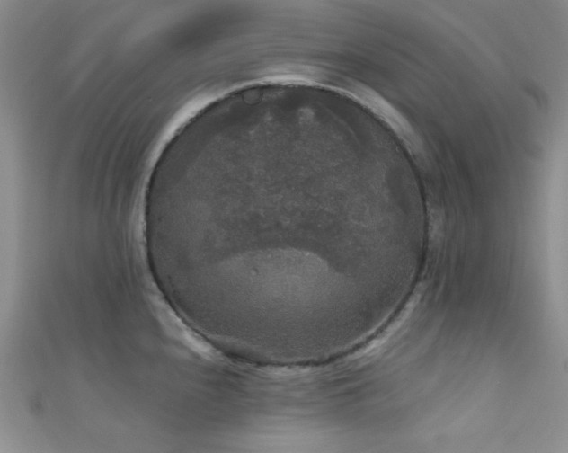 X0000111421240200907131155