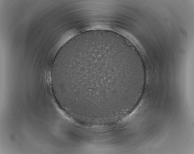 X0000111421241200907131155