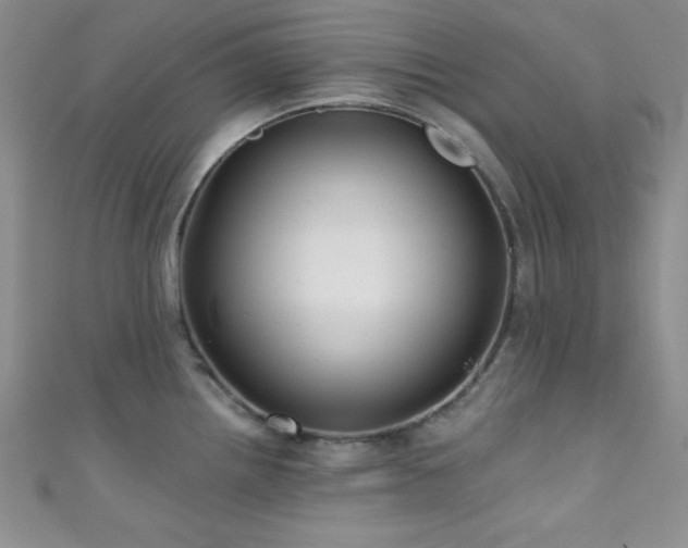 X0000111421242200907131155