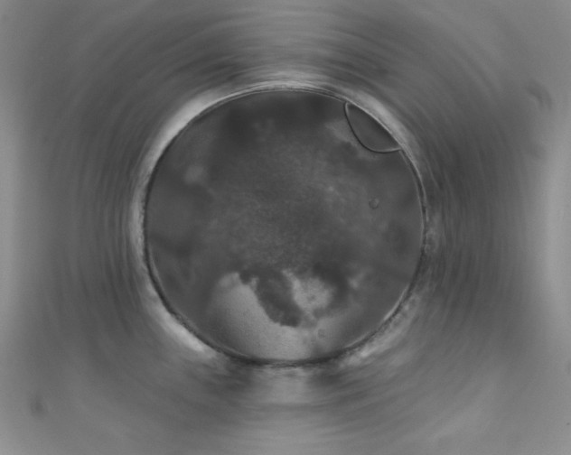 X0000111421243200907131155