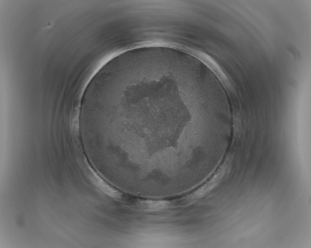 X0000111421244200907131155