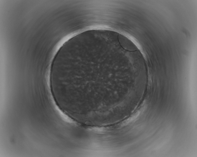 X0000111421245200907131156