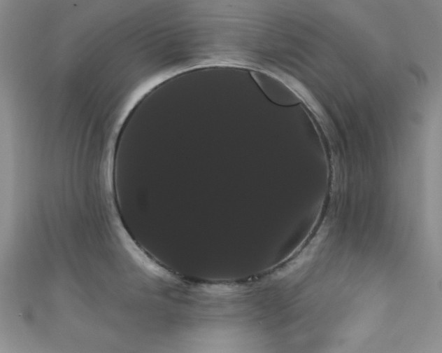 X0000111421246200907131156