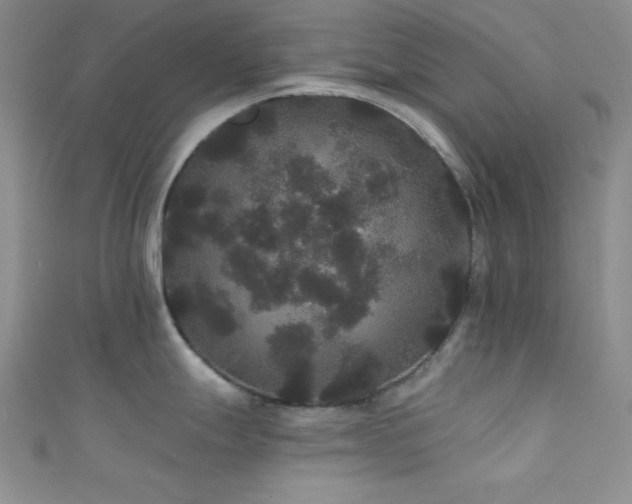 X0000111421247200907131156