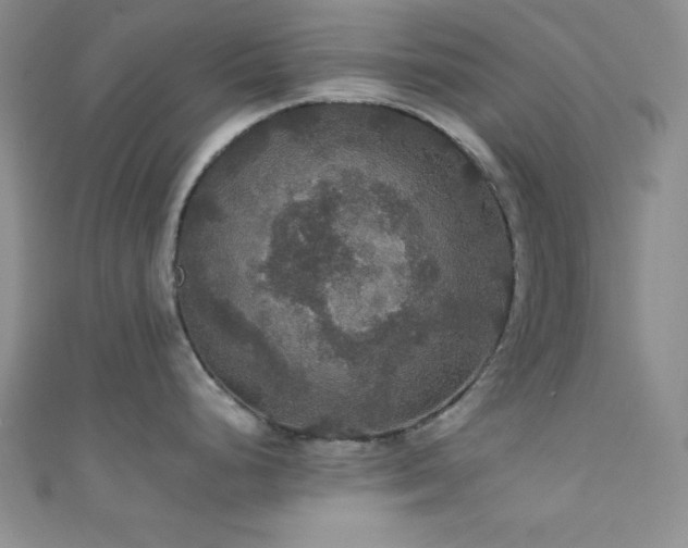 X0000111421248200907131156