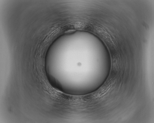 X0000111421249200907131155