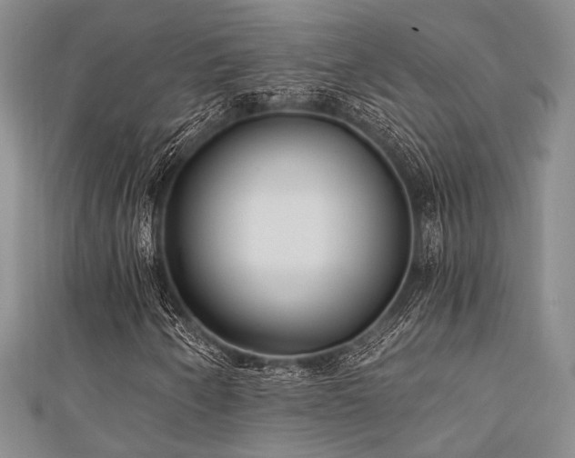 X0000111421250200907131155