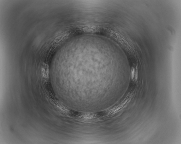 X0000111421251200907131155