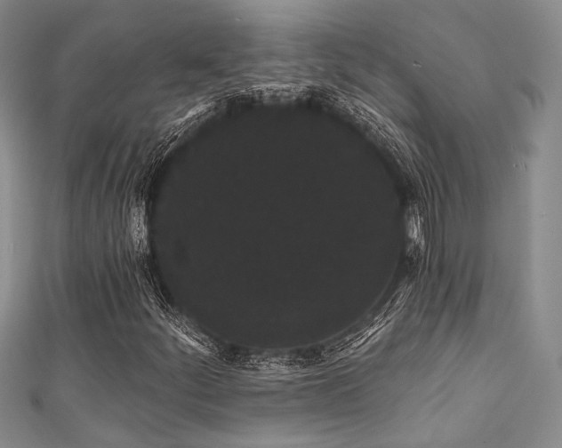 X0000111421252200907131155