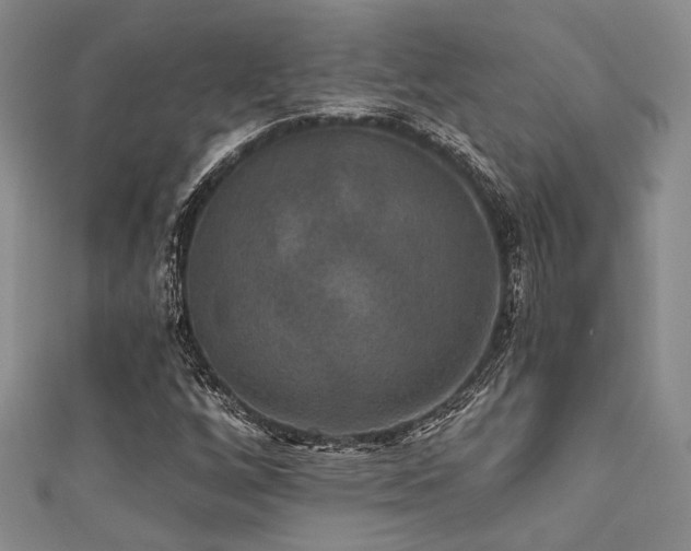 X0000111421256200907131155