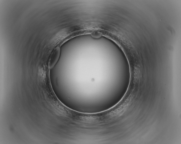 X0000111421257200907131155