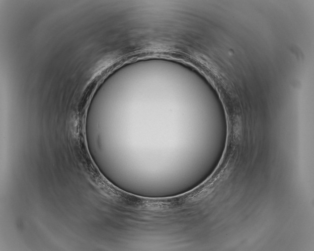X0000111421258200907131155