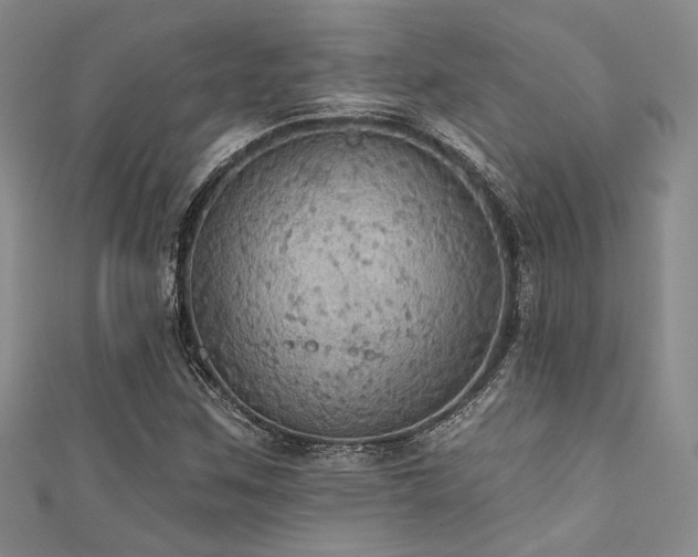 X0000111421259200907131155